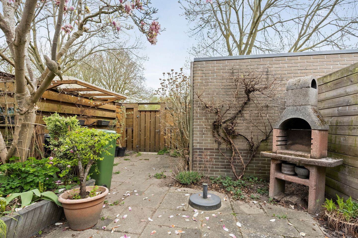 Photo 20 of Waltmanstraat 3