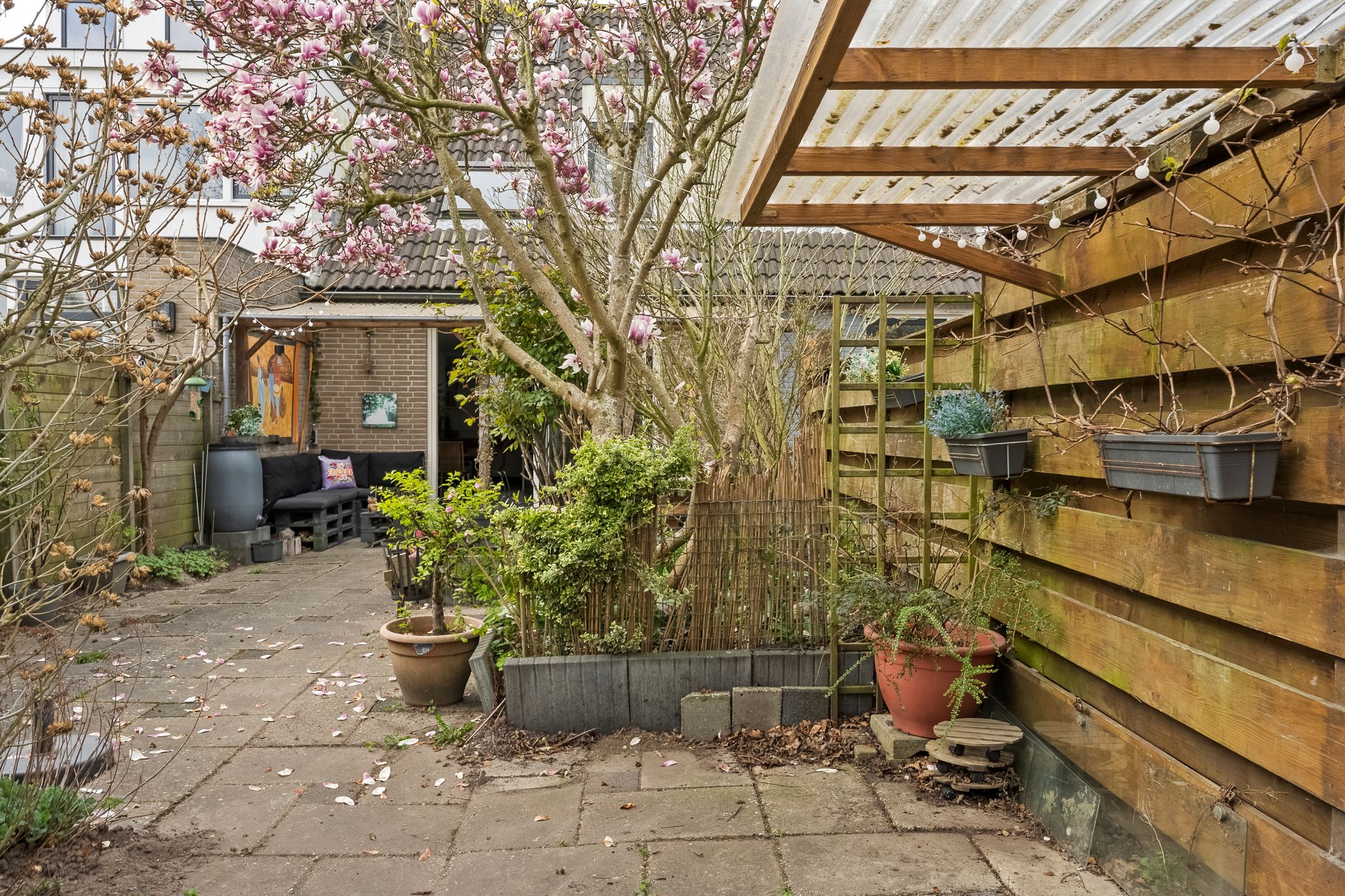 Photo 24 of Waltmanstraat 3