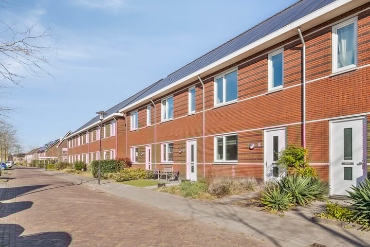 Foto 6 van Anna Blamanstraat 35