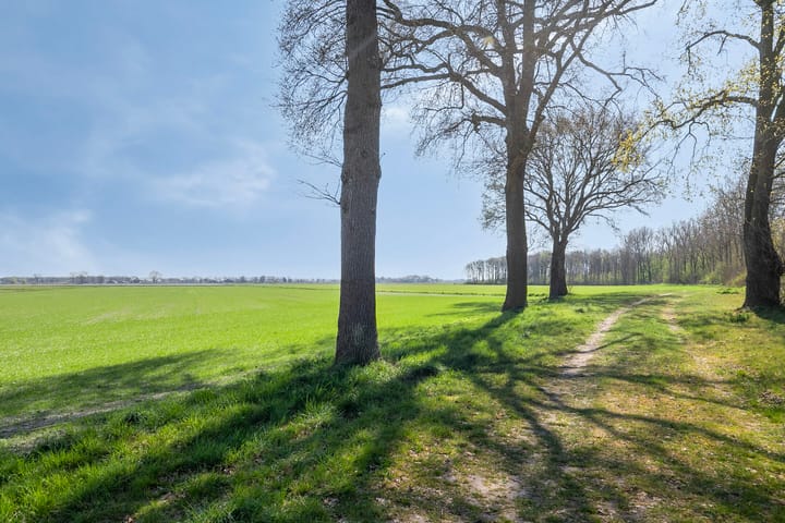 Foto 26 van Anna Blamanstraat 35