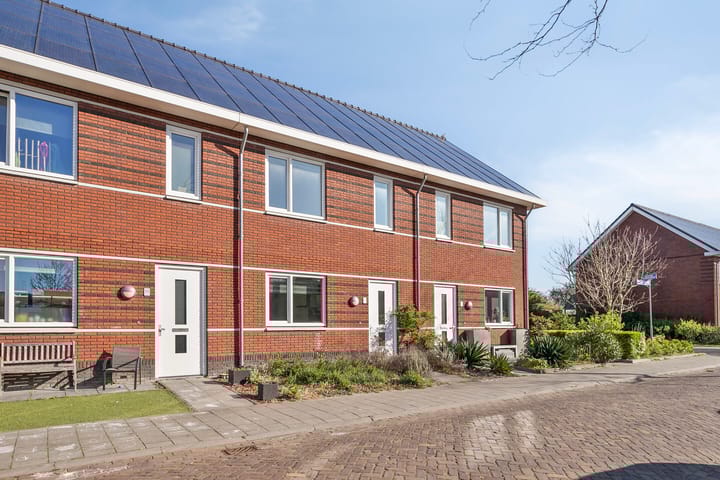 Foto 1 van Anna Blamanstraat 35