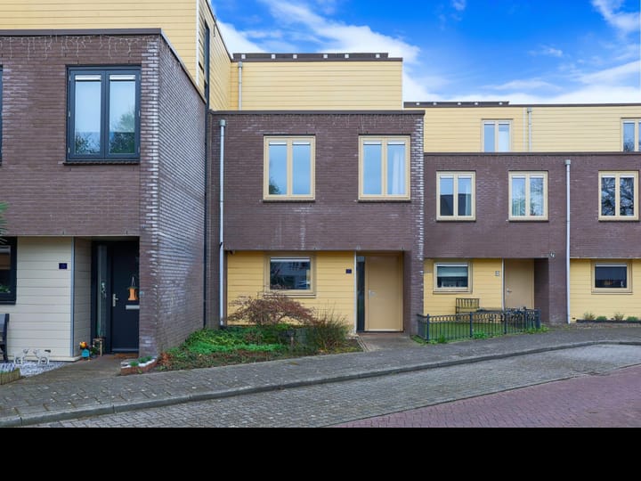 Foto 1 van Vederkruid 7