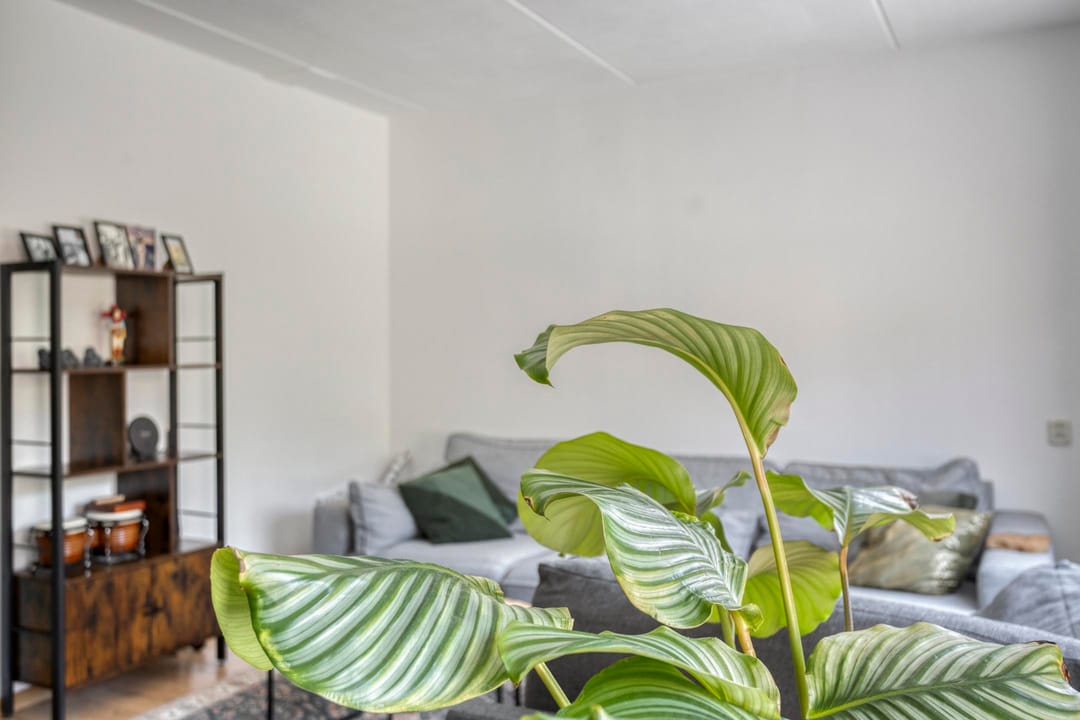 Foto 13 van Weegschaallaan 34