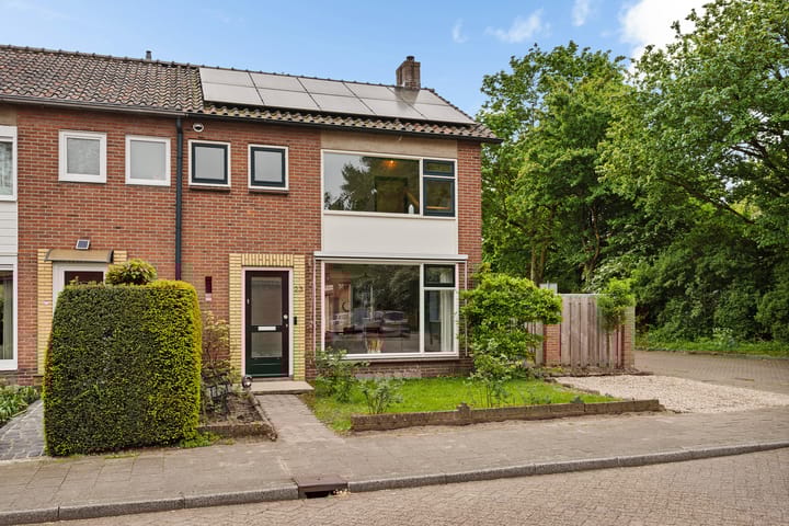 Foto 4 van Boterbloem 23