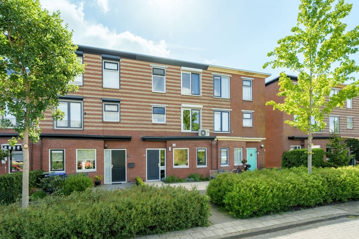 undefined main image