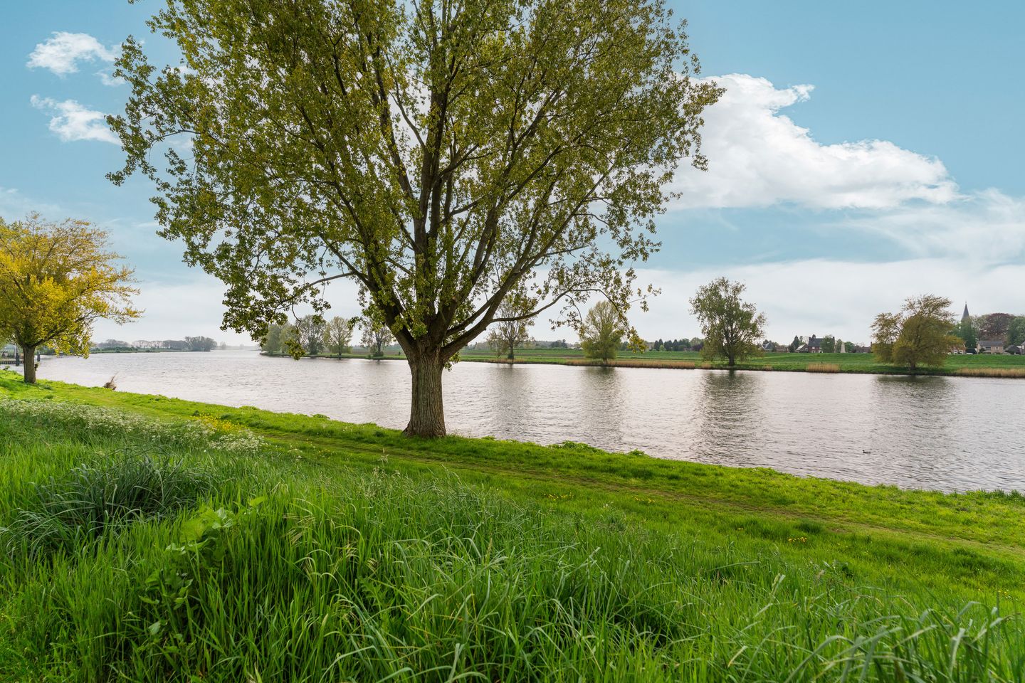 Foto 40 van Maasstaete 81