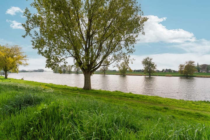 Photo 40 of Maasstaete 81