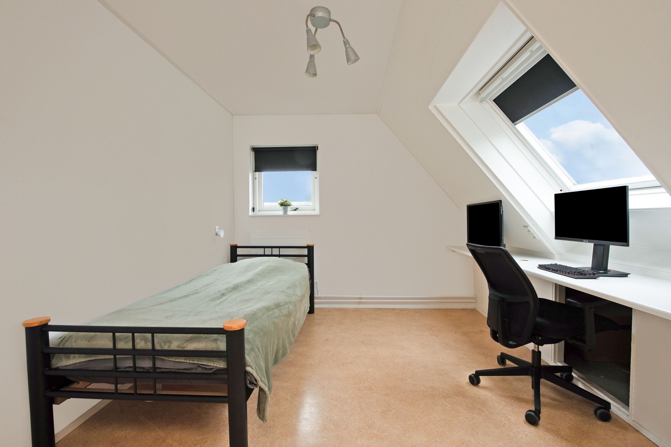 Foto 42 van Andries van Altenalaan 52