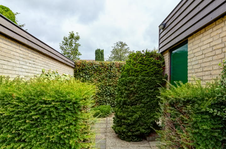 Foto 12 van Grietjeshof 89