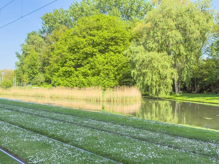 Foto 27 van Koningswaard 67