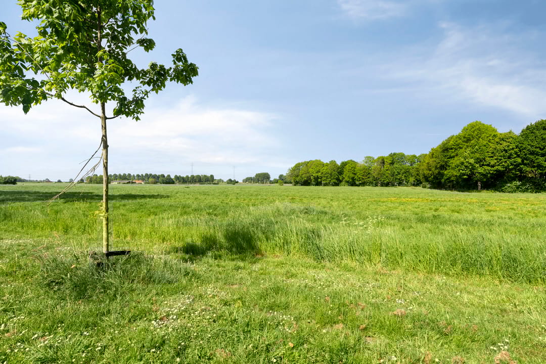 Foto 23 van Baljuwweg 13