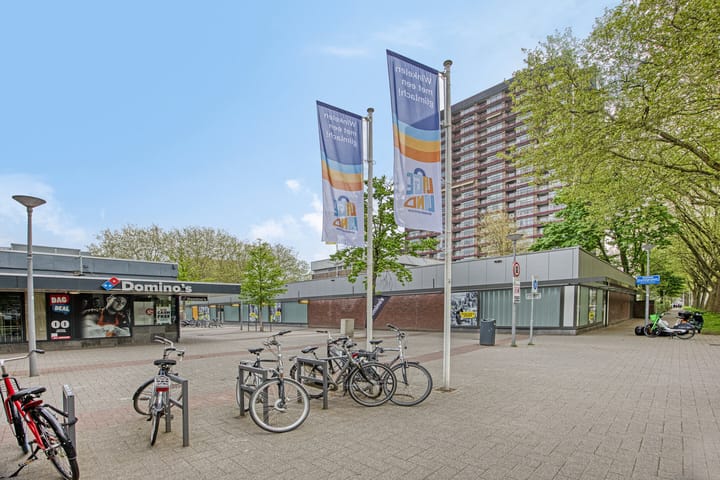 Foto 32 van Jaap van der Hoekplaats 202