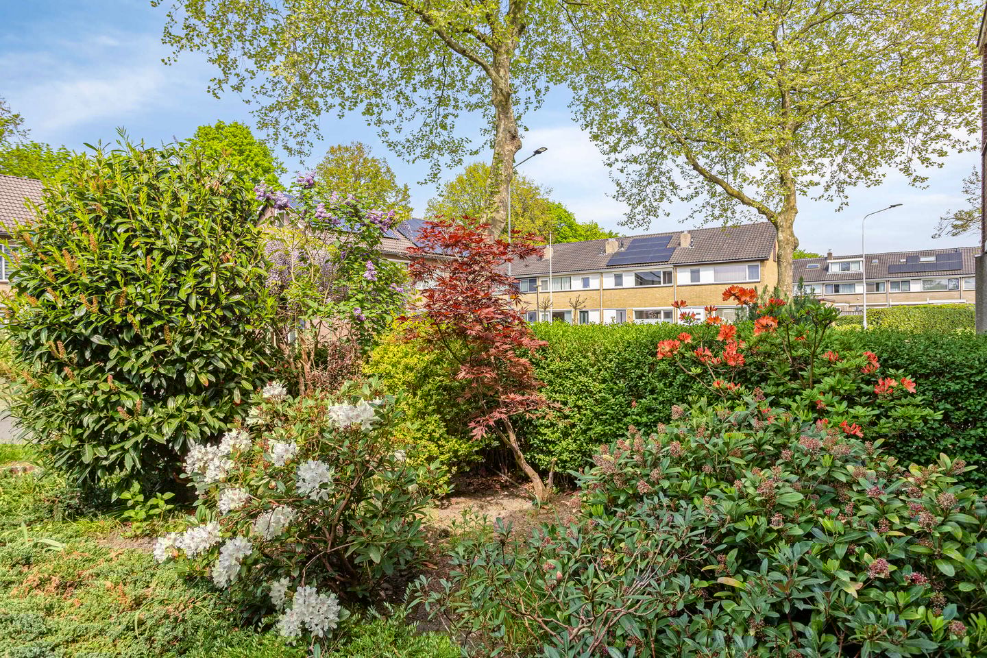 Foto 59 van Tjonger 131