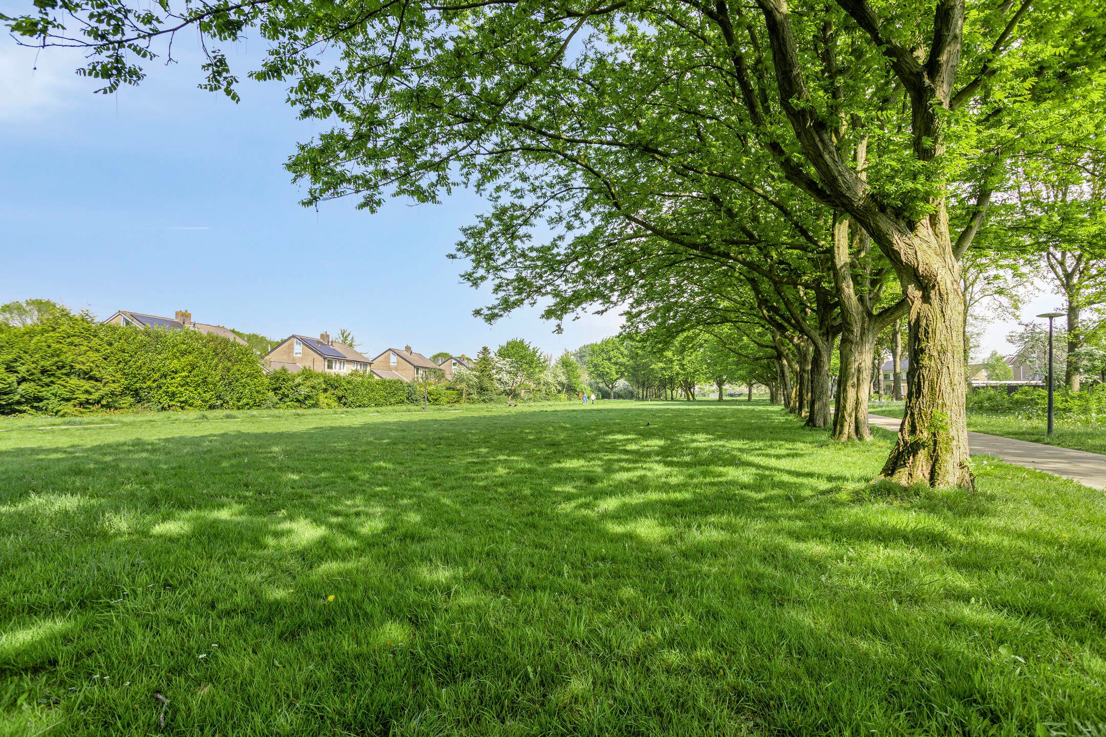 Foto 60 van Tjonger 131