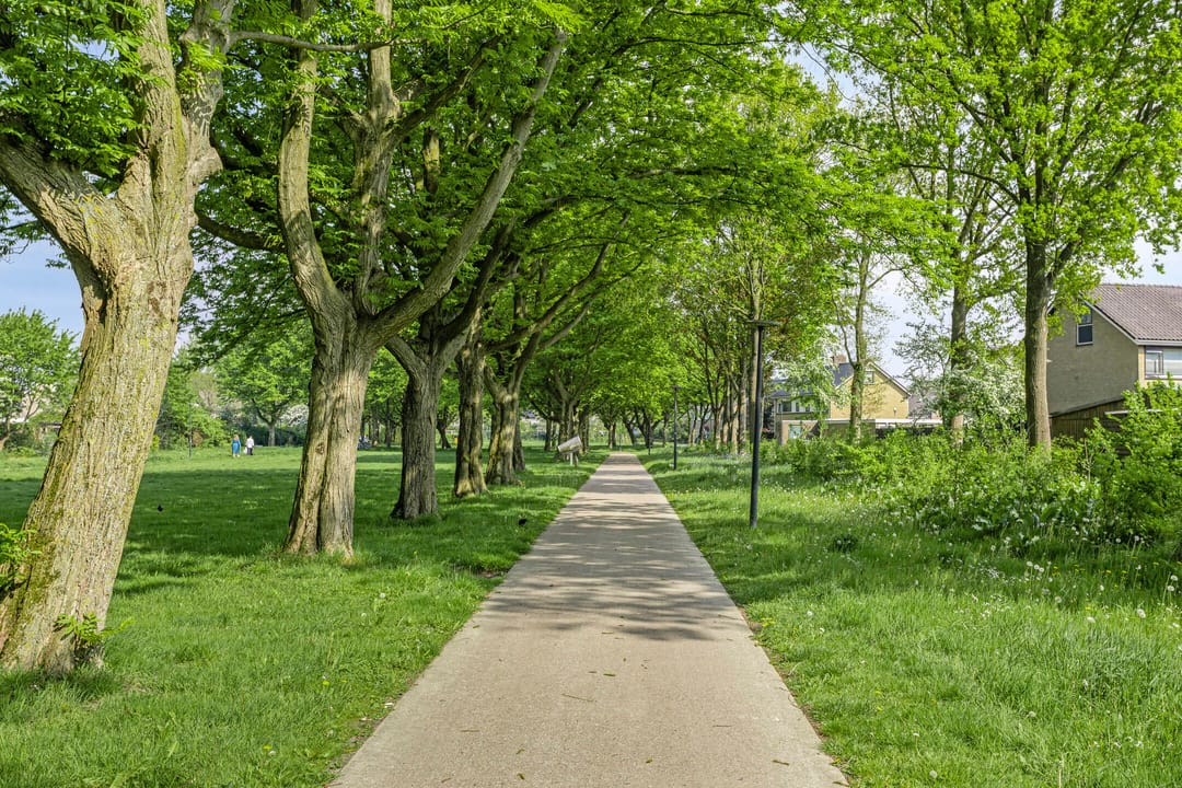 Foto 61 van Tjonger 131