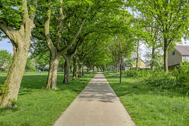 Foto 61 van Tjonger 131