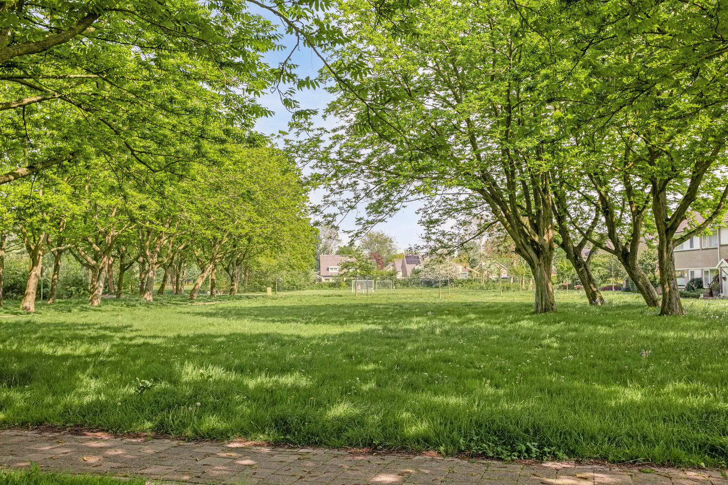 Foto 64 van Tjonger 131