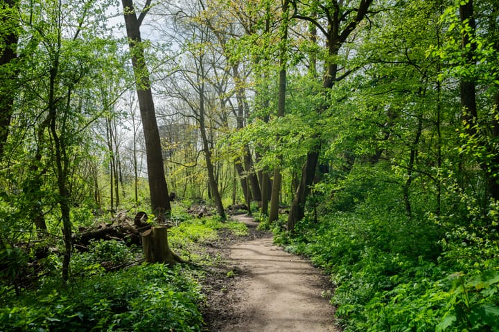 Foto 32 van Preangerstraat 40