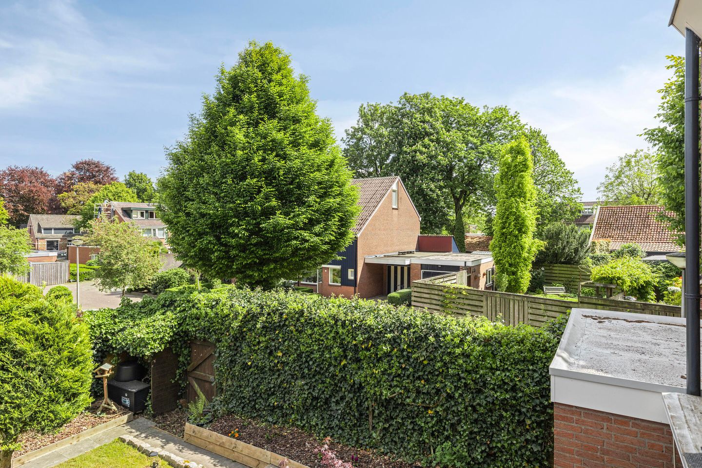 Foto 25 van Andersonstraat 22