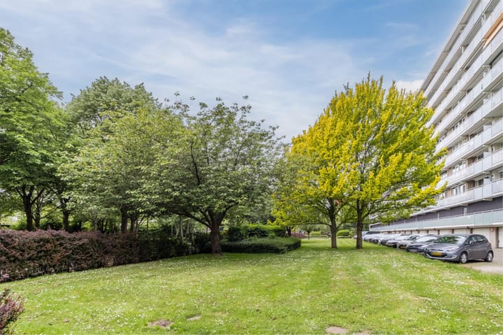 Foto 39 van Holysingel 408