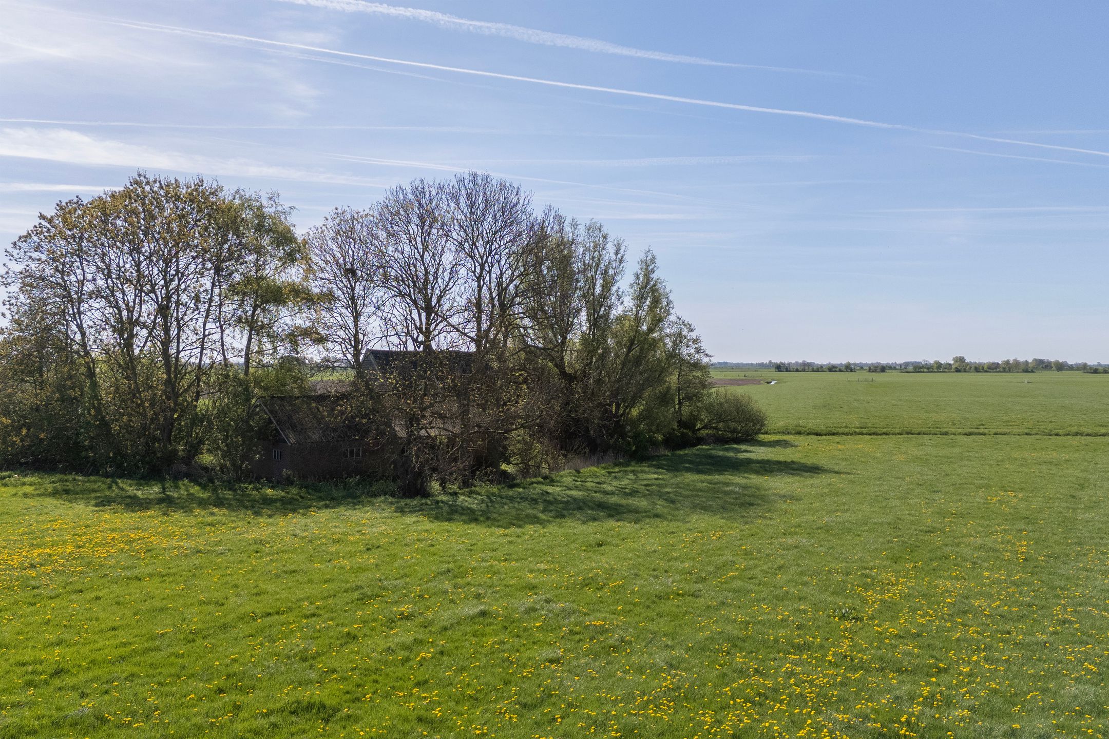 Photo 6 of Sânewei 5