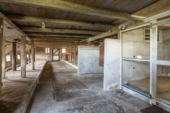 Foto 7 van Sânewei 5