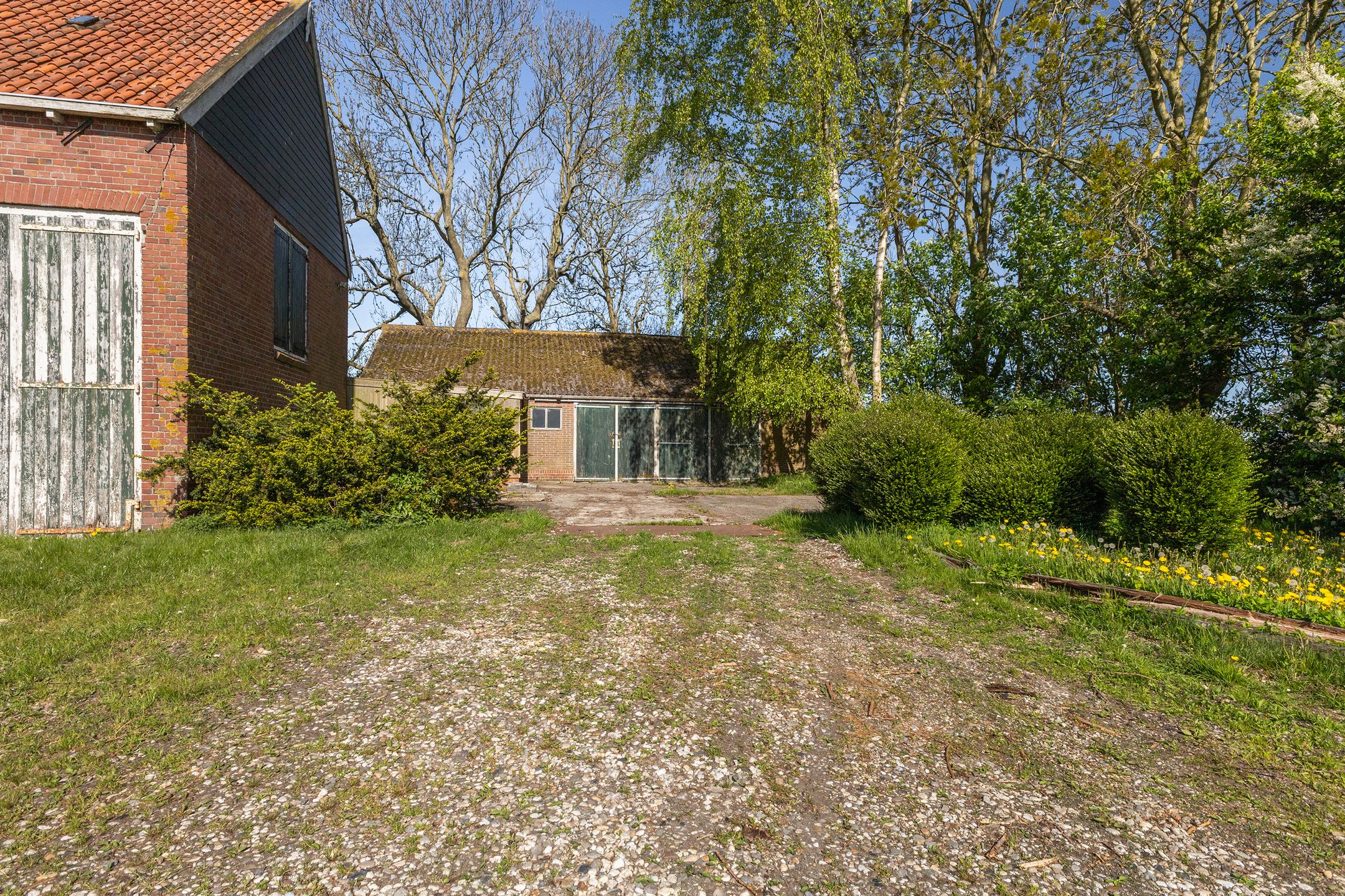 Photo 9 of Sânewei 5