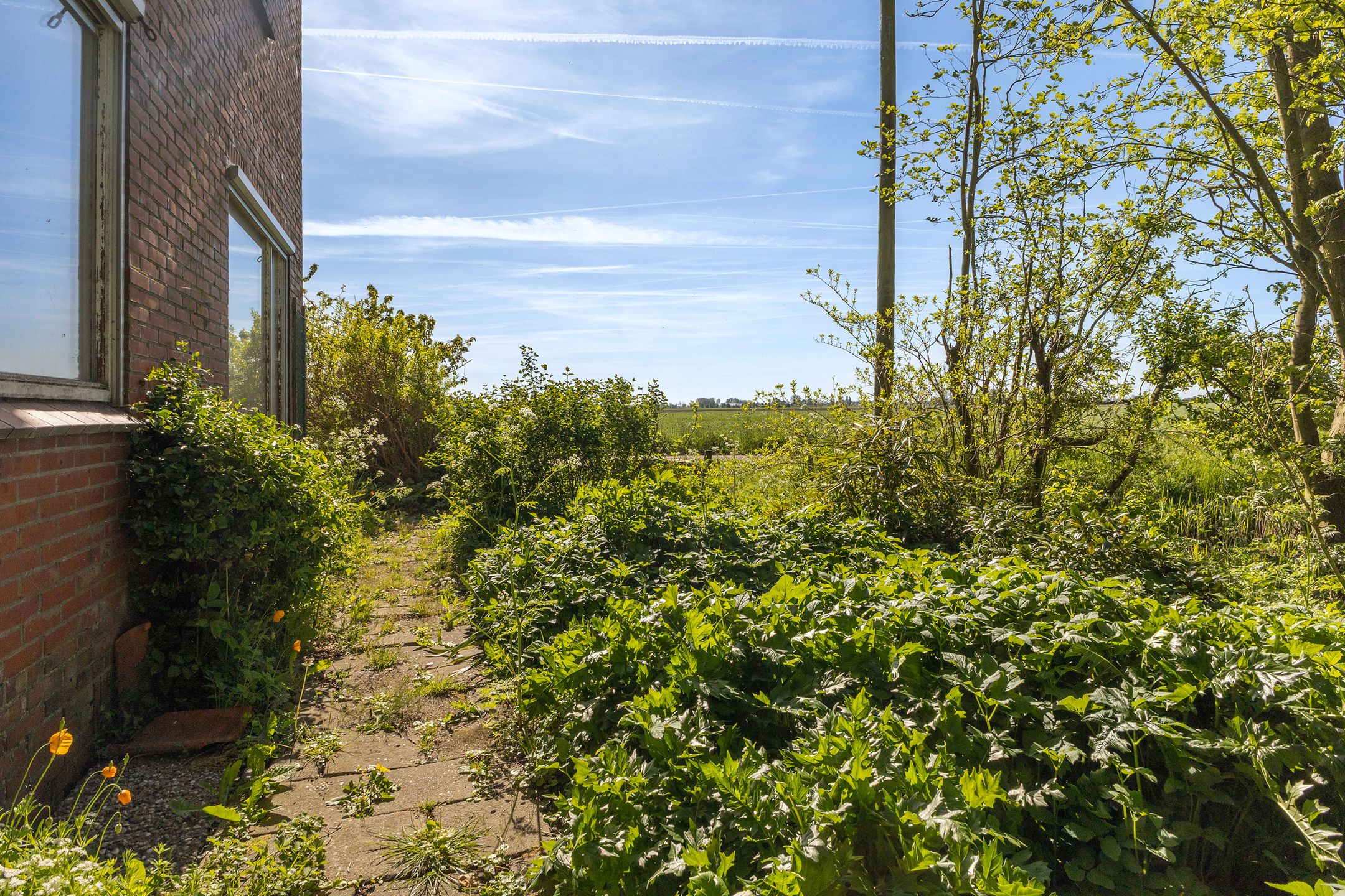 Photo 27 of Sânewei 5