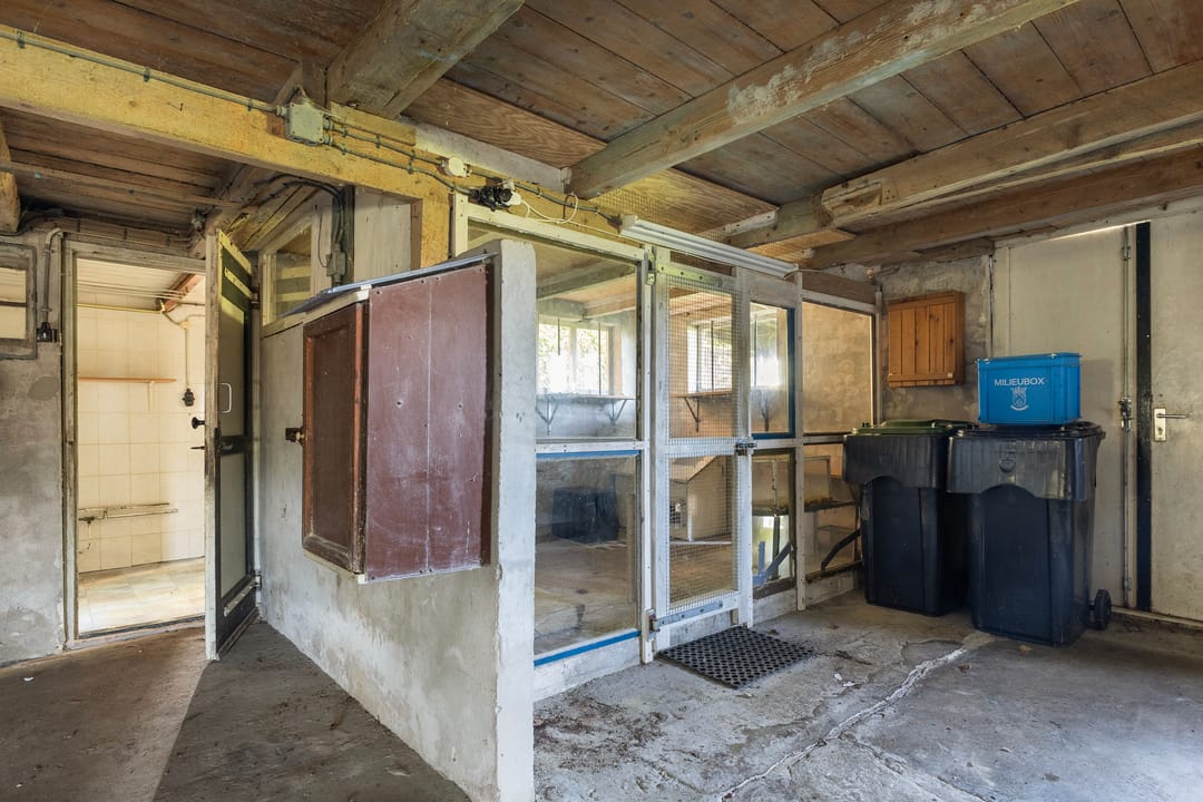 Photo 31 of Sânewei 5