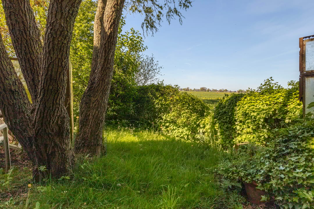 Photo 32 of Sânewei 5