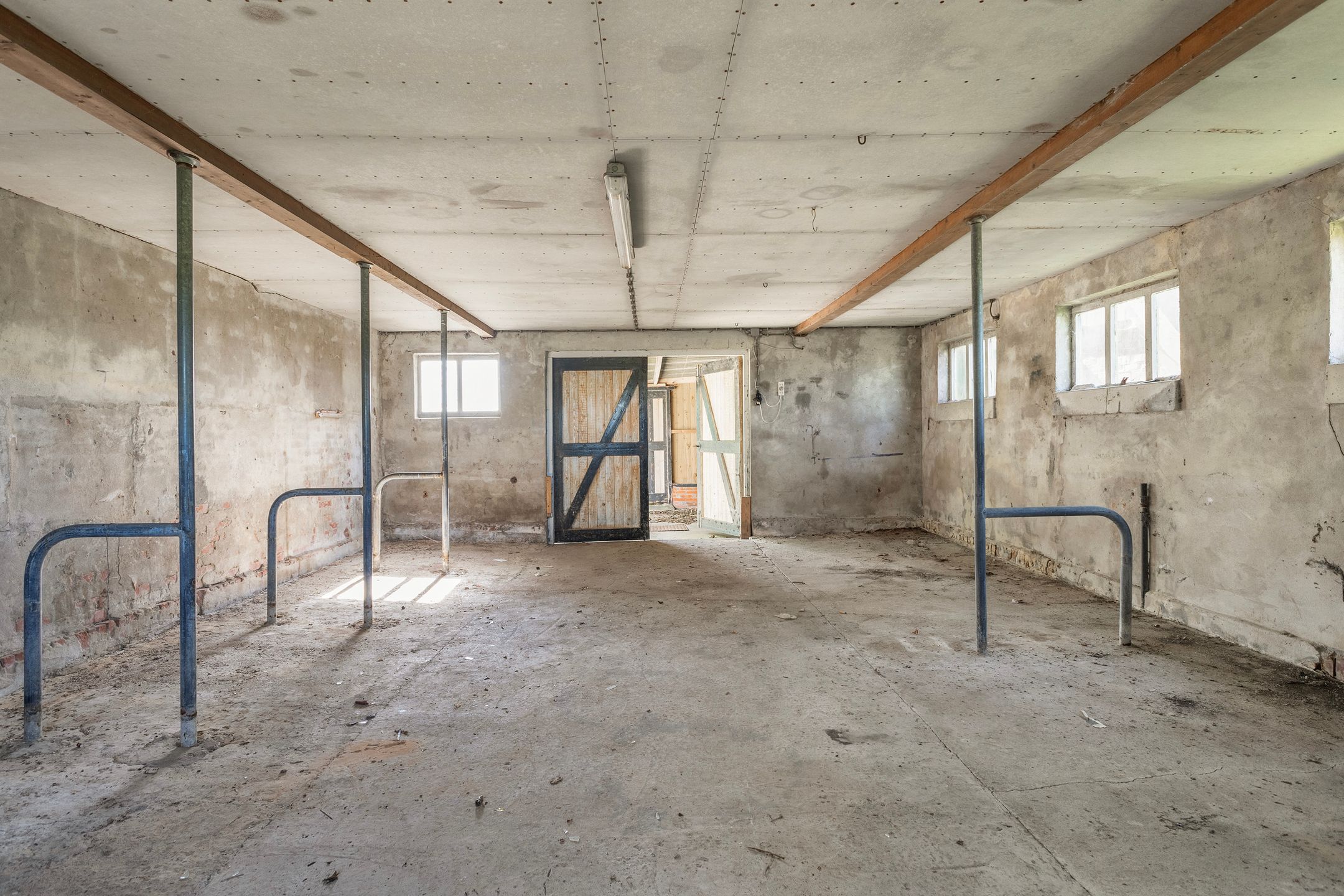 Photo 42 of Sânewei 5