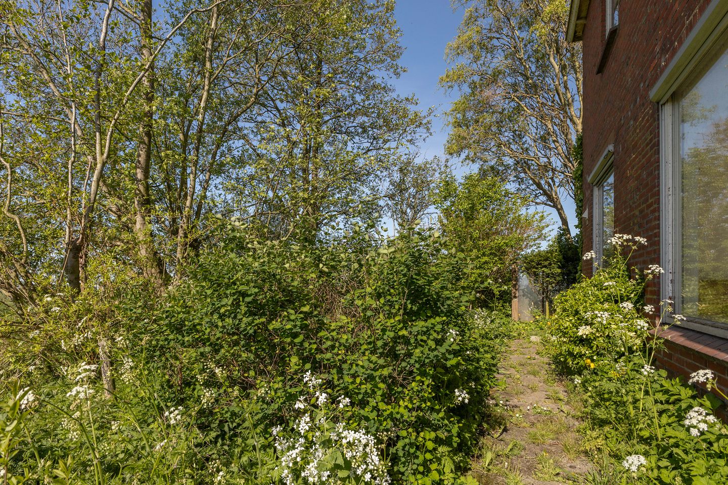 Photo 44 of Sânewei 5