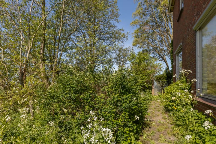 Foto 44 van Sânewei 5