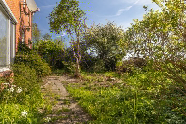 Foto 45 van Sânewei 5