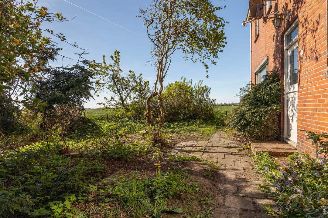 Photo 46 of Sânewei 5