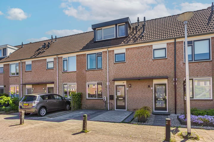 Sijpesteijn 17