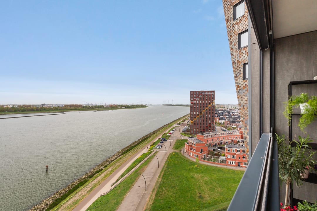 Foto 1 van Het Hoge Licht 63