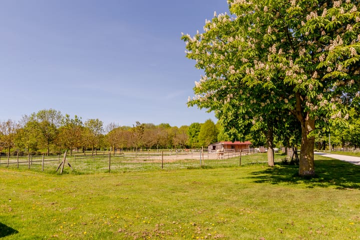 Foto 34 van Horst 37 26