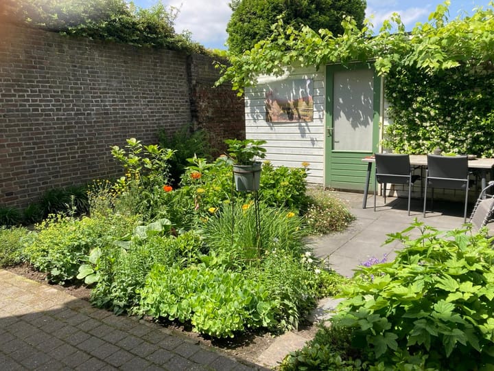 Foto 5 van Goirkestraat 153-D