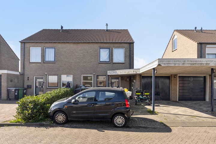 Akkerdistel 71