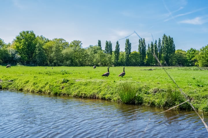 Foto 9 van Nachtegaallaan 9