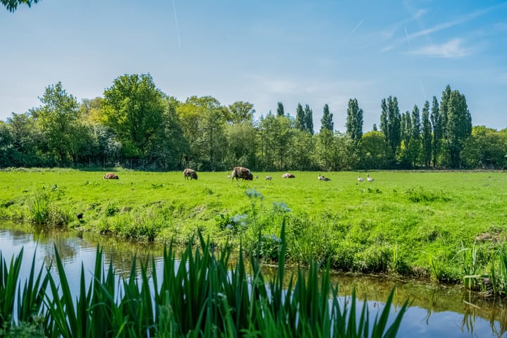 Foto 10 van Nachtegaallaan 9