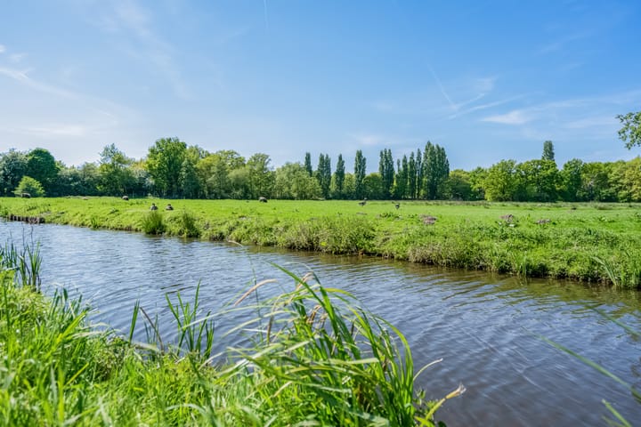 Foto 11 van Nachtegaallaan 9