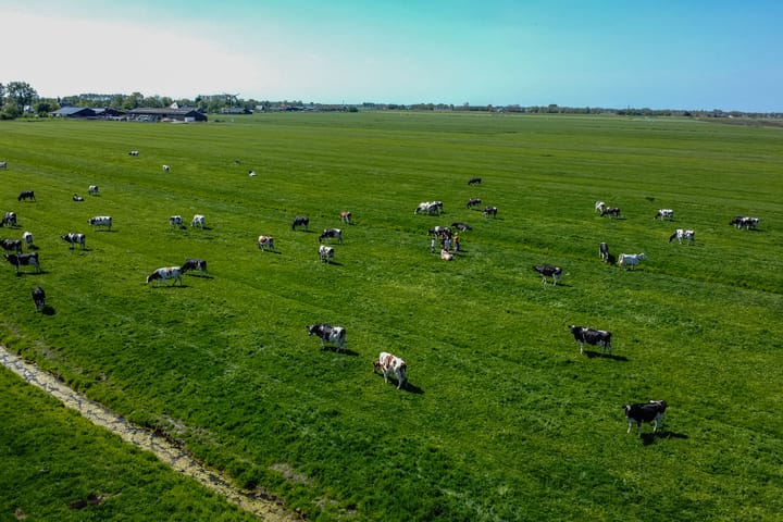 Foto 60 van Voorkamp 50