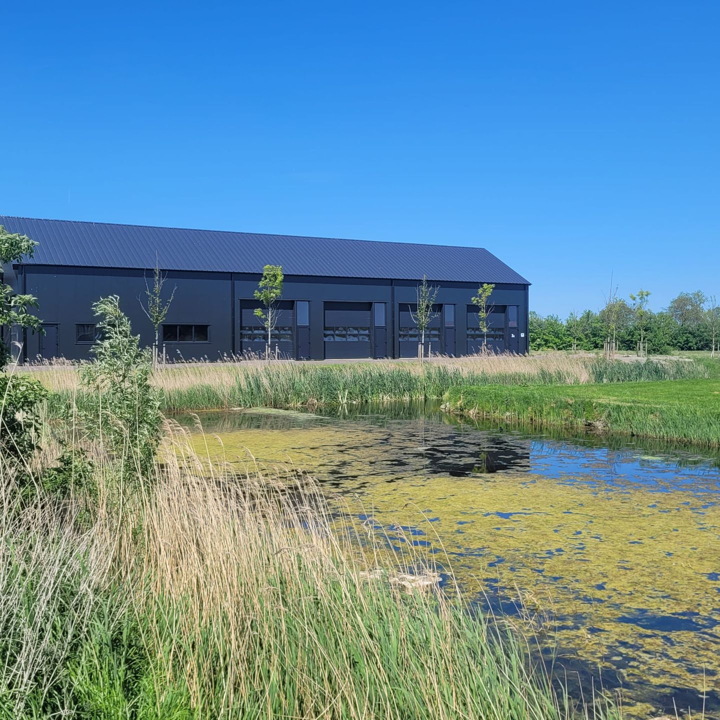 Bekijk foto 3 van Westerpolder 3