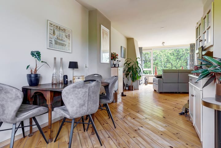 Foto 7 van Vogelplantsoen 109