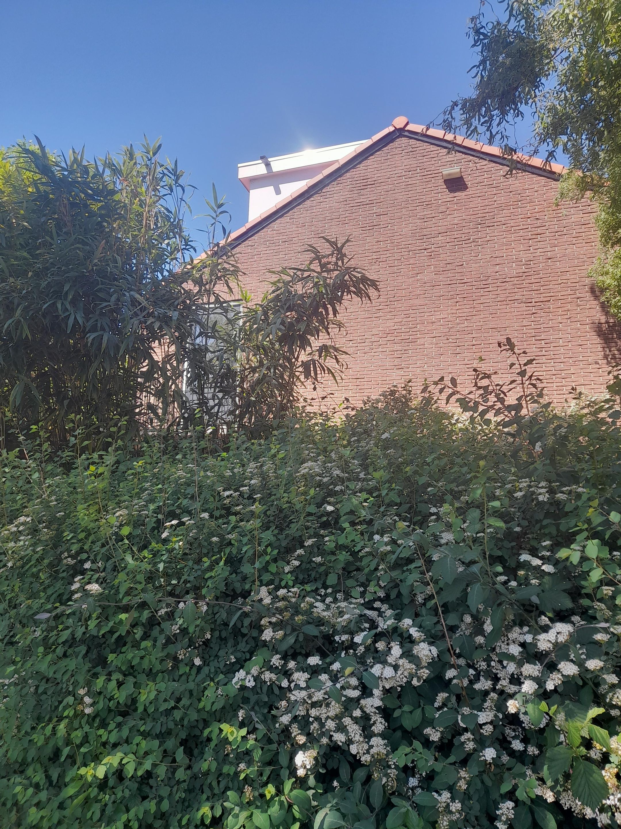 Foto 18 van van der Helstpark 51