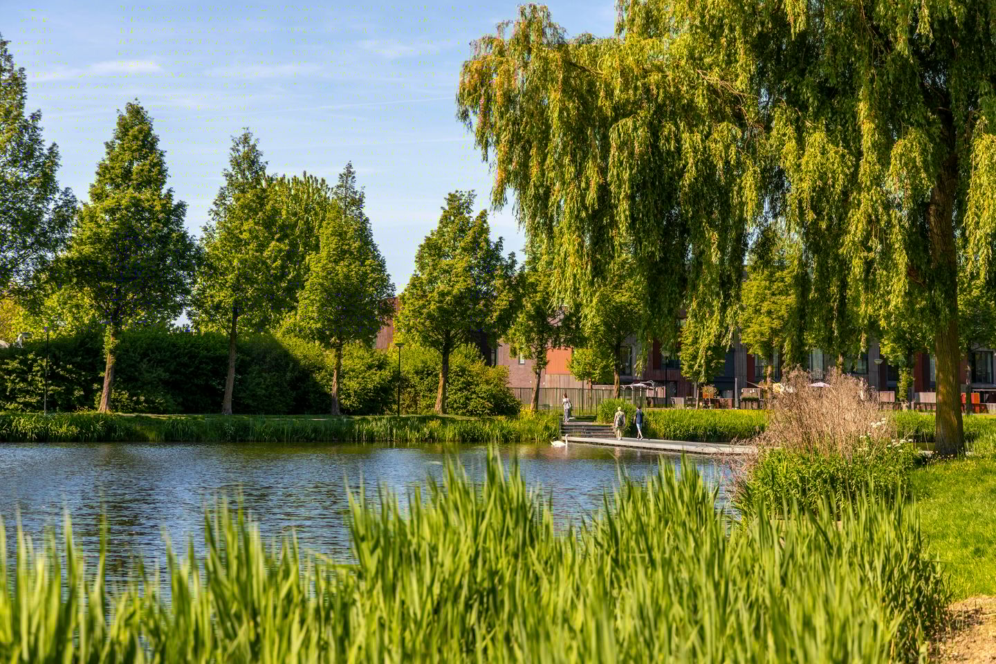 Foto 25 van Vrijheer van Eslaan 129