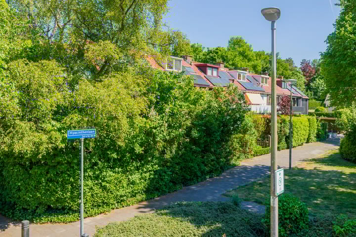 Photo 48 of Hyacinthenlaan 36