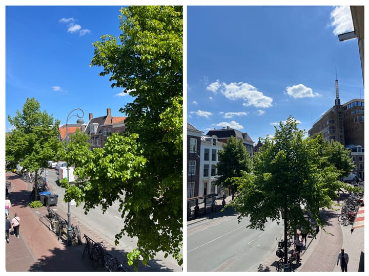 Foto 8 van Gedempte Oude Gracht 66